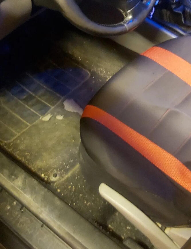 čištění koberce a nástupních plastů PŘED